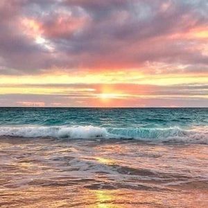 Meet your Posher, Cate